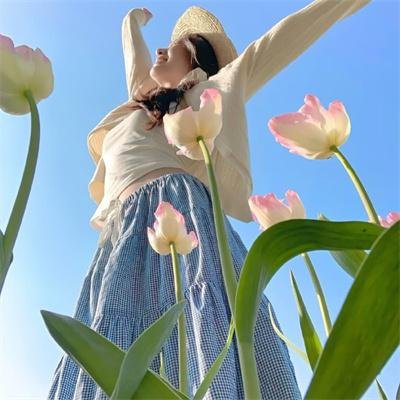 菜鸟老警第七季